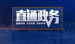 新昌县最新爆料新闻,最新爆料揭示惊人真相